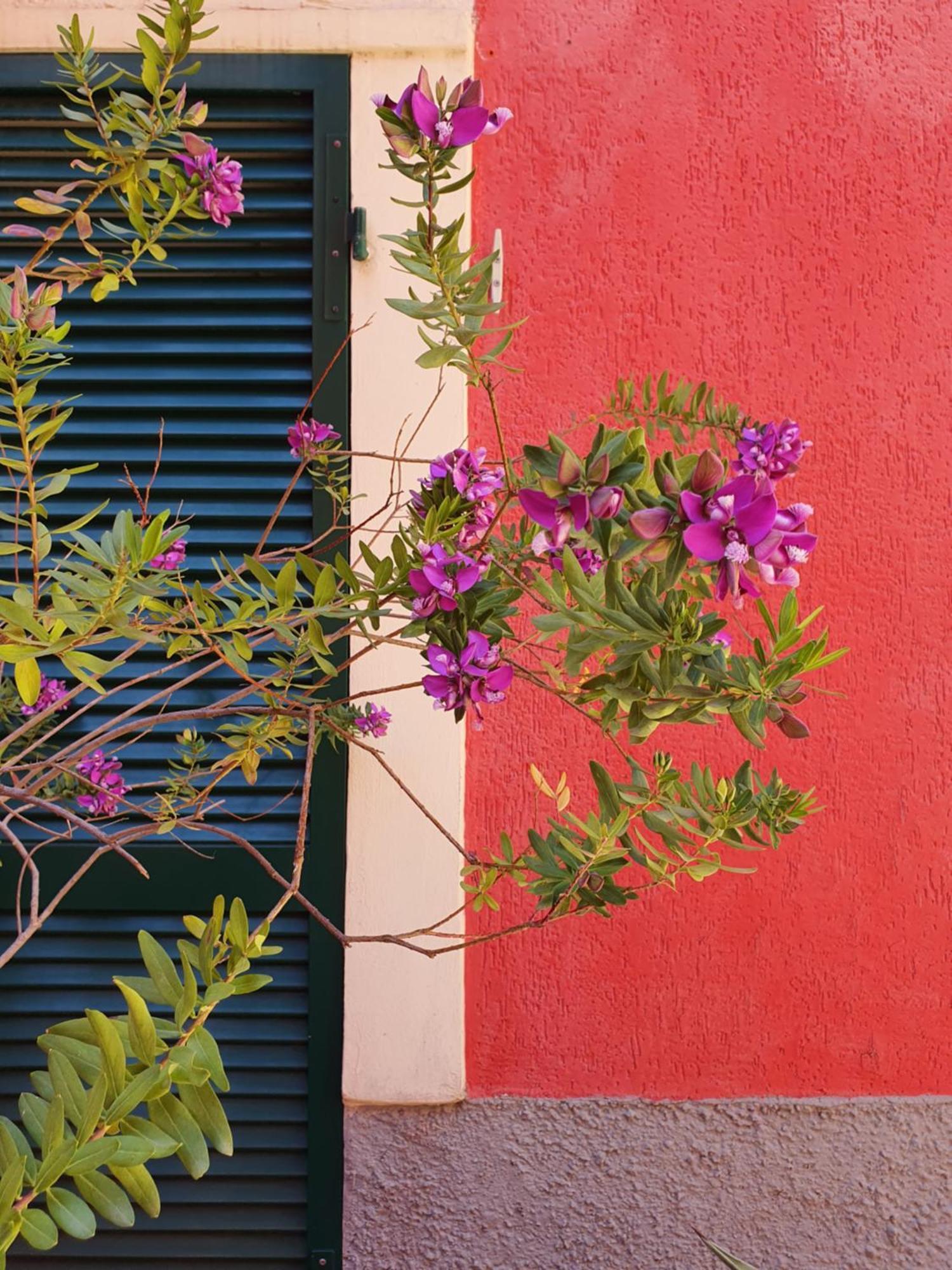 Hotel Boutique Novecento
