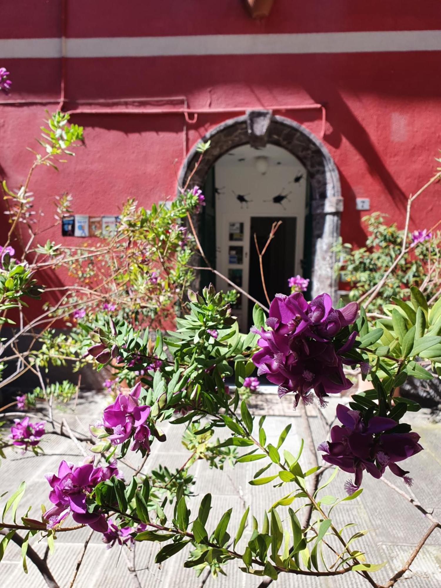 Novecento Hotel
